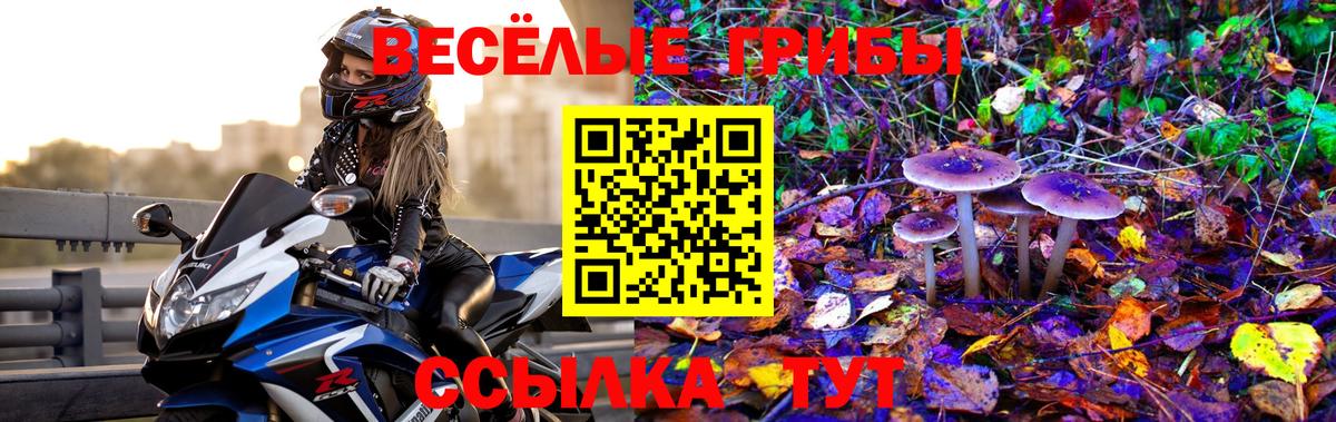 Татарск  Галлюциногенные грибы Psilocybe  Вход с VPN 