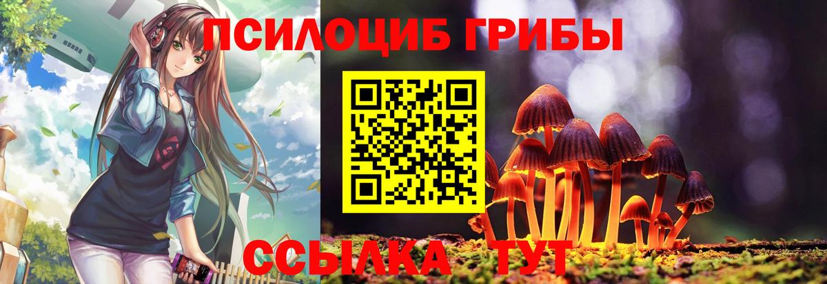 Псилоцибиновые грибы мицелий Татарск