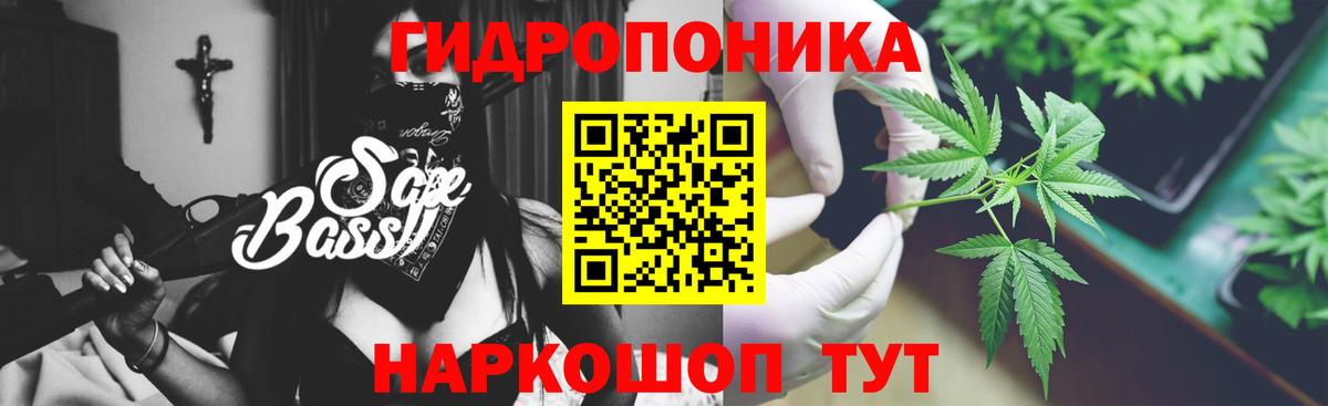 Бошки Шишки OG Kush  Марихуана White Widow  Вход с VPN  Татарск 